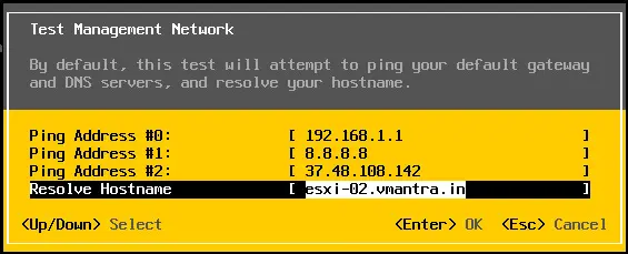 VMware ESXi DCUI test network