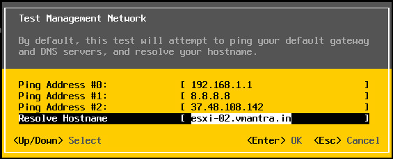 VMware ESXi DCUI test network