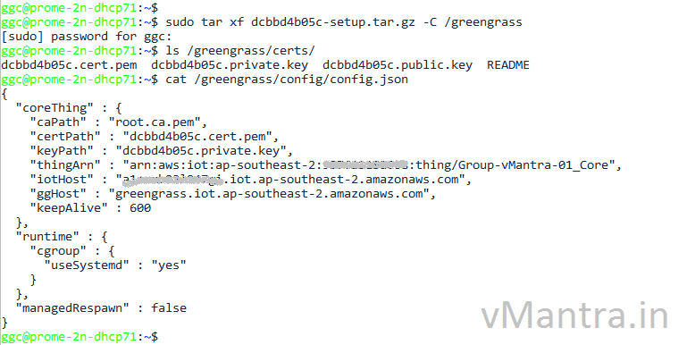 config AWS Greengrass on vmware vsphere - verify cert